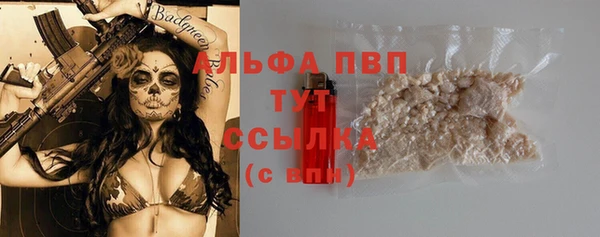 дмт Костерёво