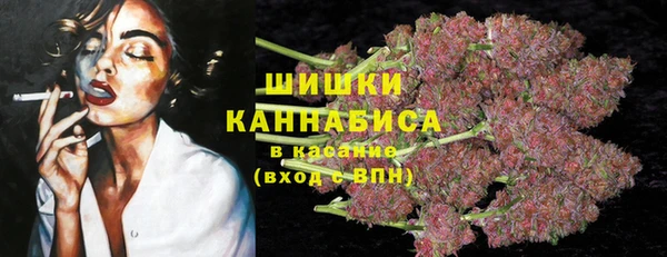 spice Корсаков