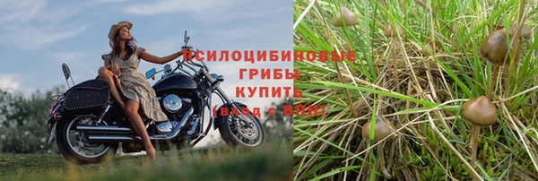 spice Корсаков
